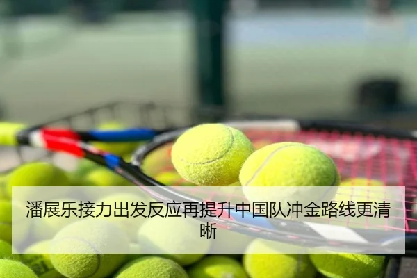 潘展乐接力出发反应再提升中国队冲金路线更清晰